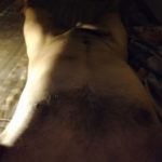 Naked Indian Hunk Shows Hot Hairy Body & Big Cock