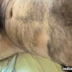 Desi nude guy shows big cock and furry body in pics