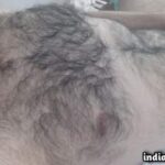 Gay hairy bear man teasing sexy chest in nude pics